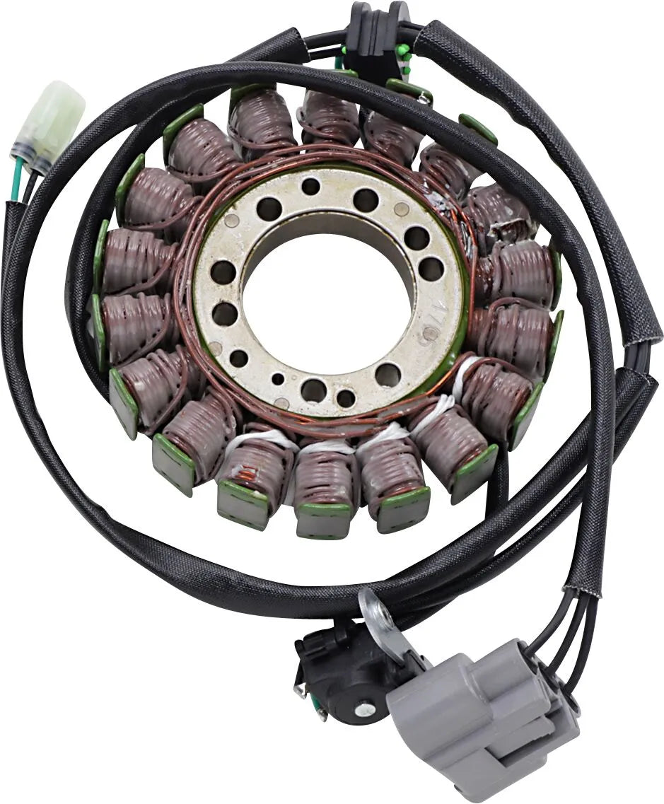 Rick's Motorsport Electric Oem Style Stator