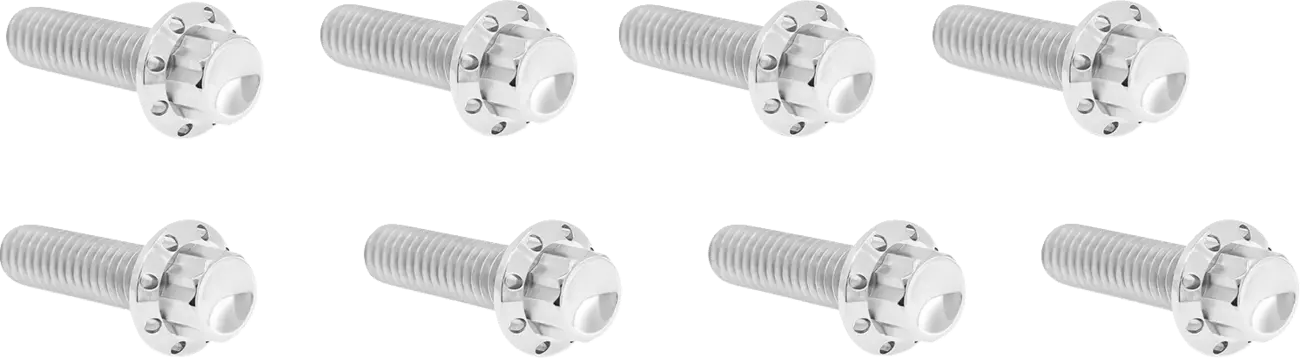 Arlen Ness Lifter Block Titanium 12-point Bolt Kit