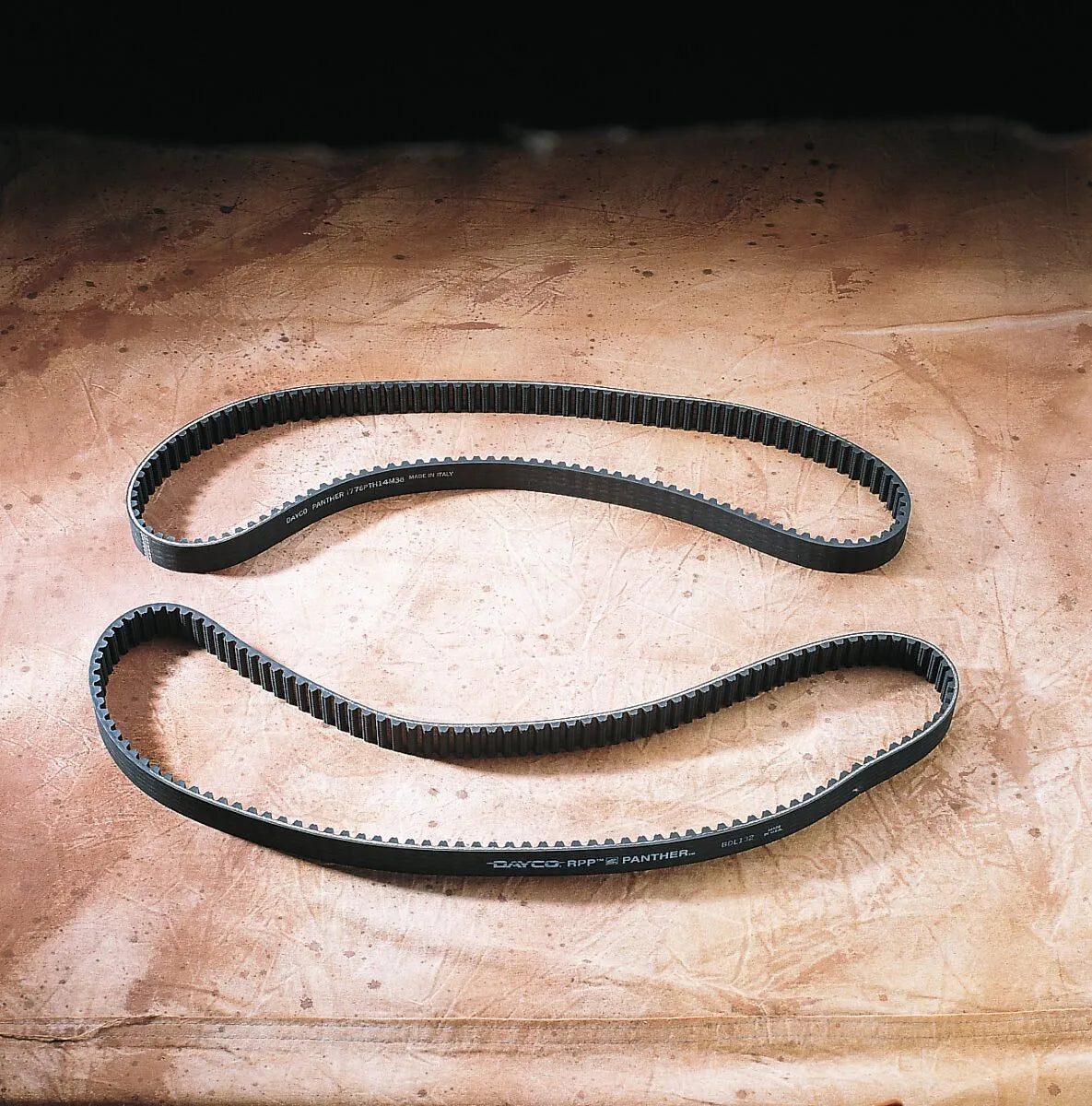 Panther Rear Drive Belt - Synchro-cog Design