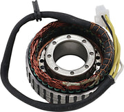 Rick's Motorsport Electric Stator