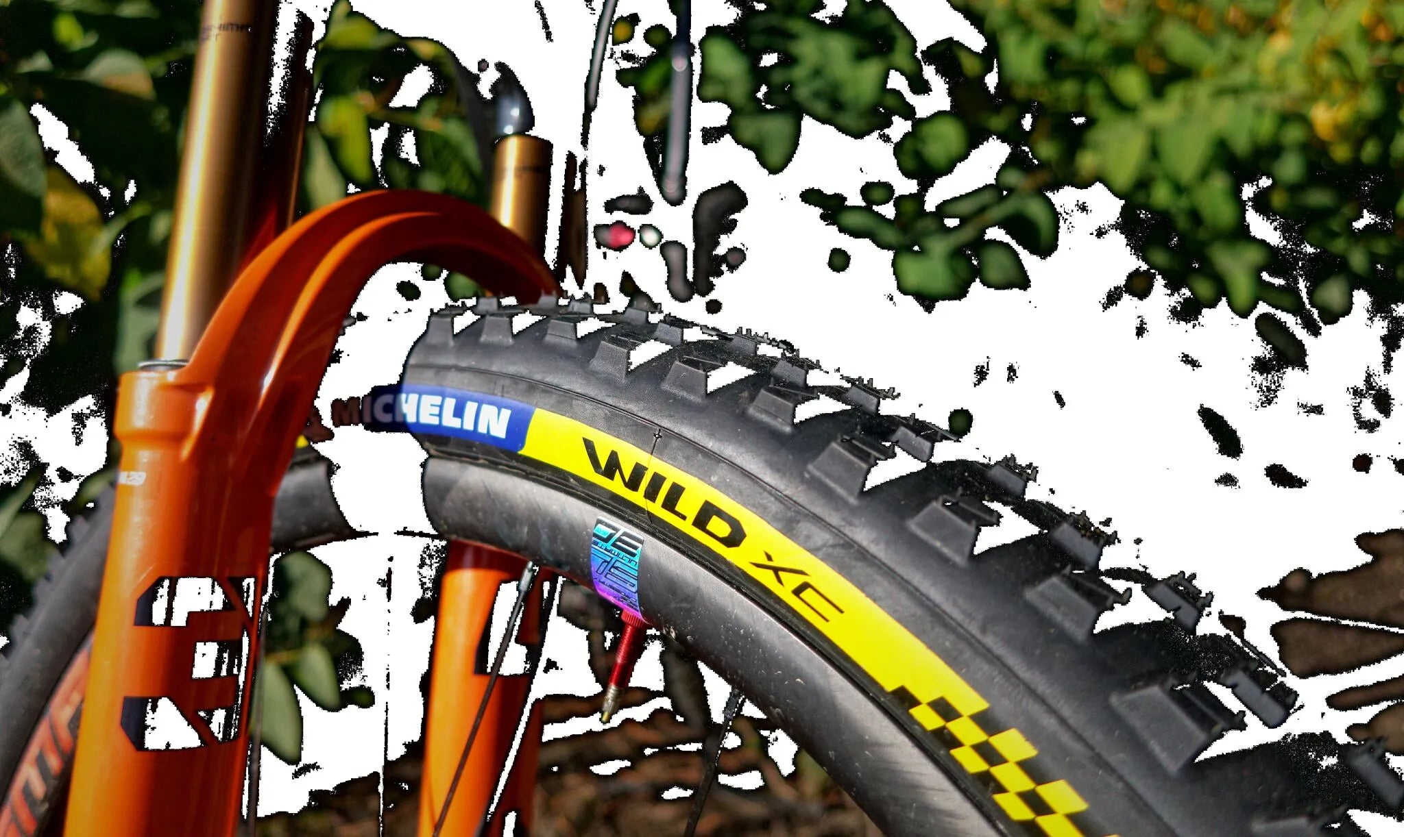MICHELIN Wild XC Racing Tire for 29" x 2.35" Rims
