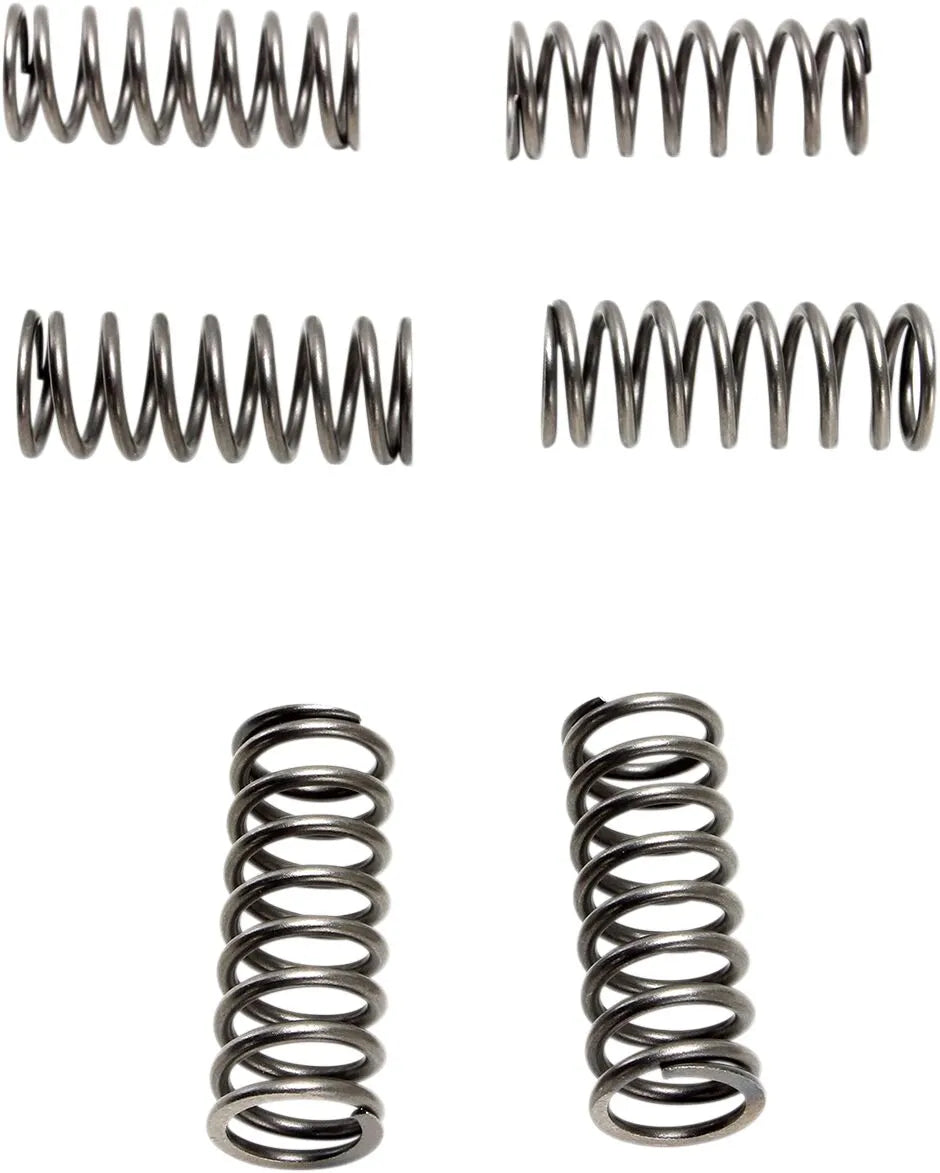 Ebc Csk Clutch Spring Set