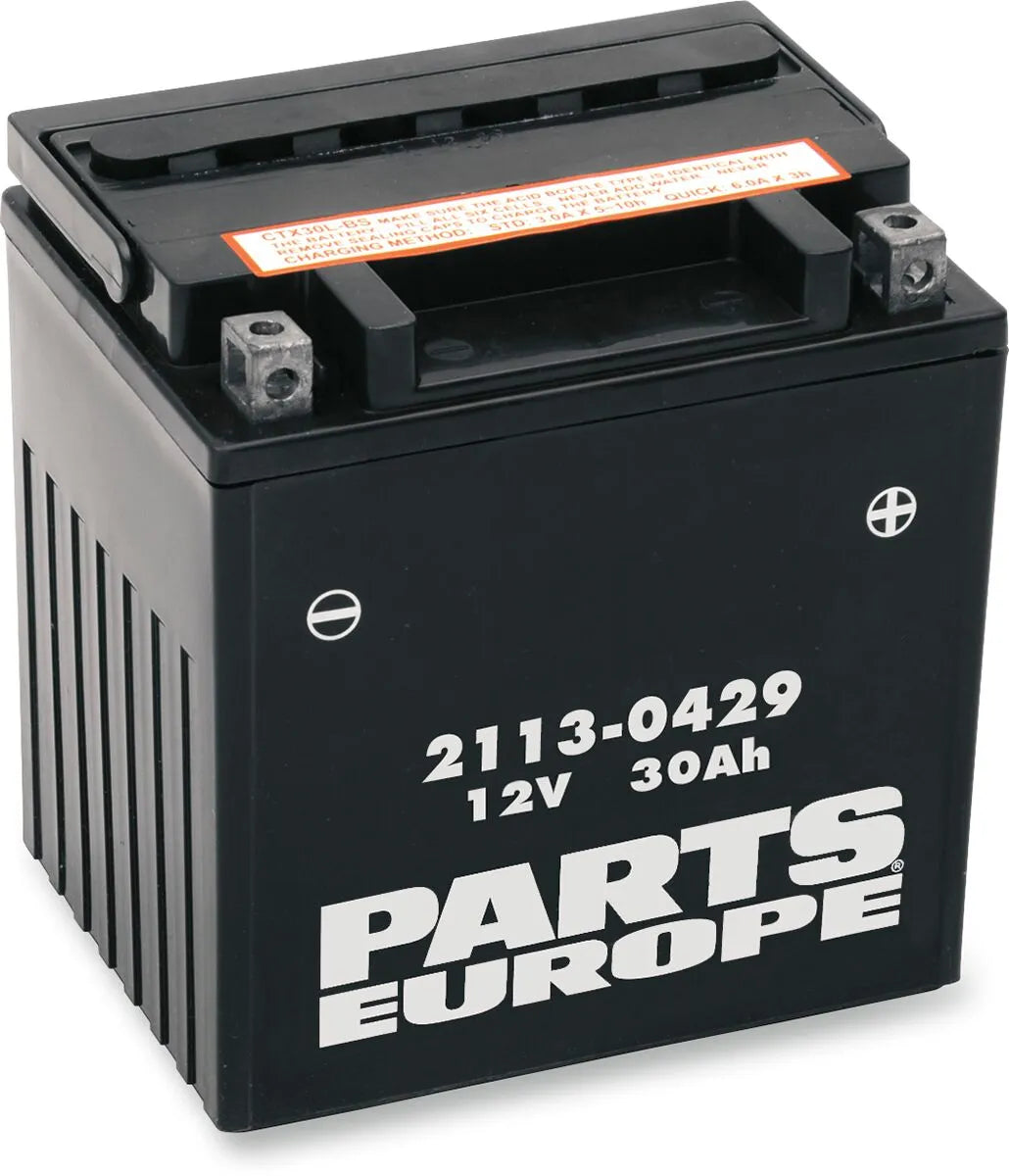 Parts Europe Agm Lead Acid Battery 30ah