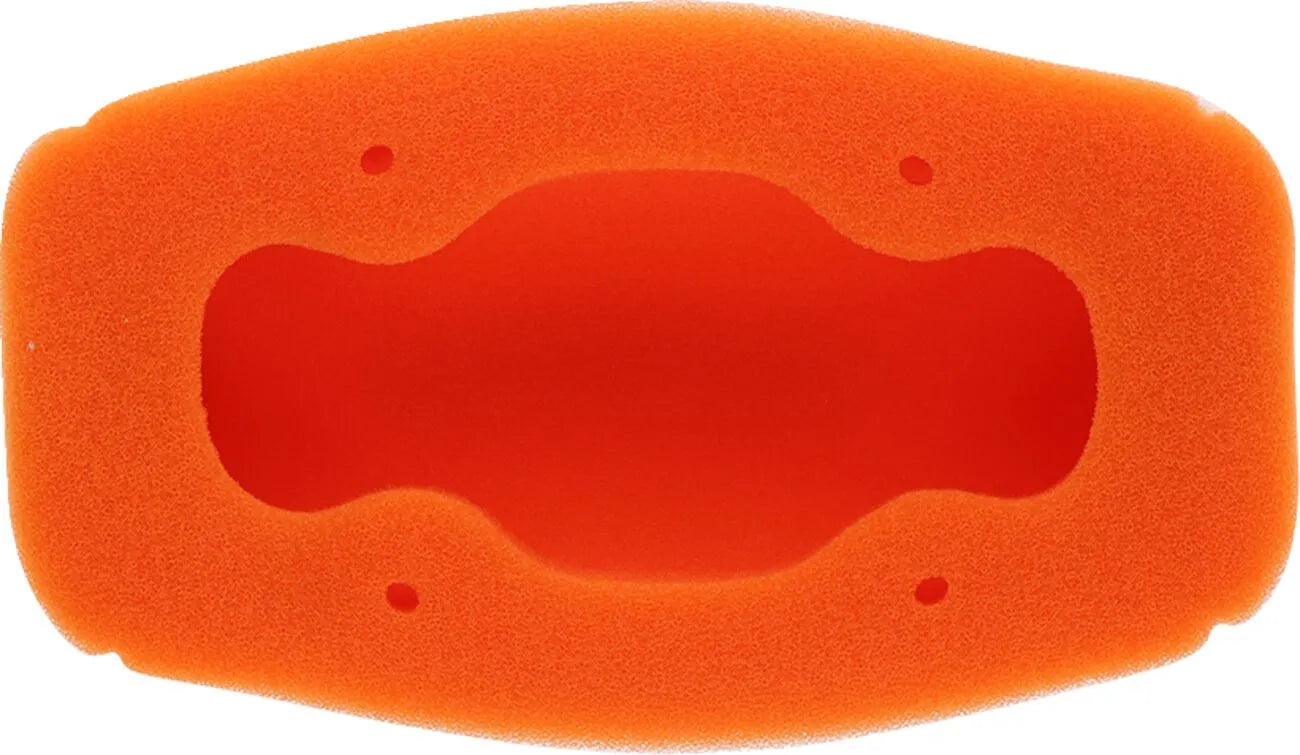 Twin Air Standard Air Filter