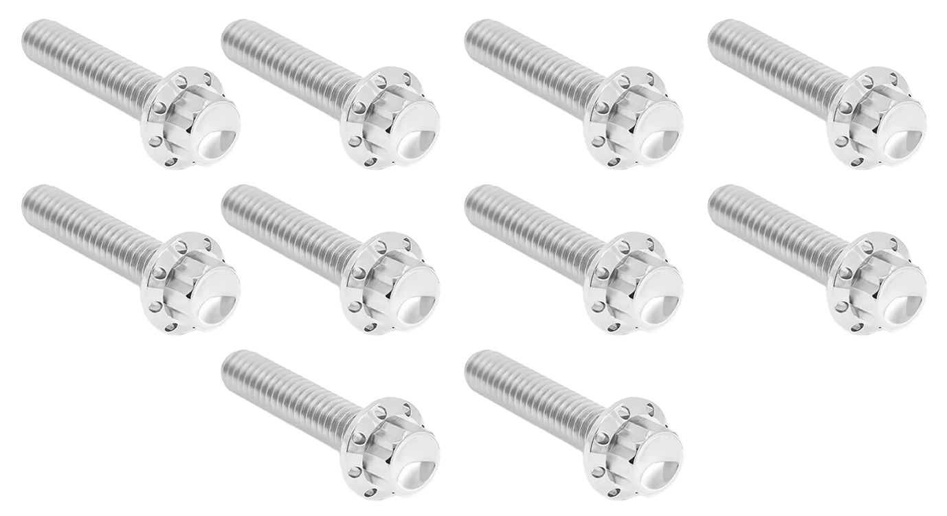Arlen Ness Cam & Point Cover Titanium 12-POINT Bolt Kits – Hardware