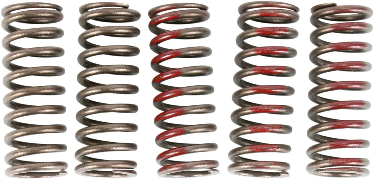 Pro Circuit Clutch Spring Set