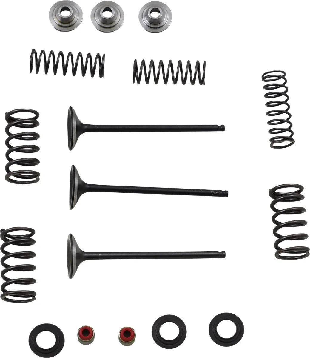 Moose Offroad Intake Valve And Spring Kit