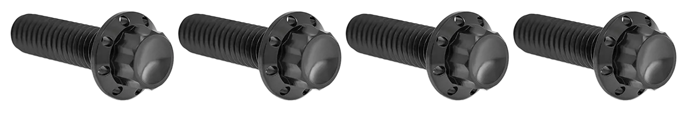 Arlen Ness Brake and Perch Titanium 12-POINT Bolt Kits – Hardware