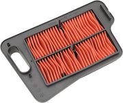 Hiflofiltro Replacement Air Filter