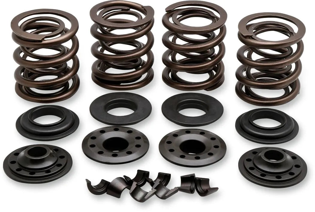 Kibblewhite Valve Spring Kit - Oem Replacement