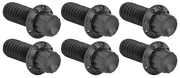 Arlen Ness Derby Cover Titanium 12-POINT Bolt Kits – Hardware