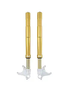 OHLINS FGRT 232 Front Fork for BMW S/M1000 RR