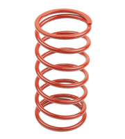 Athena Clutch Variator Springs