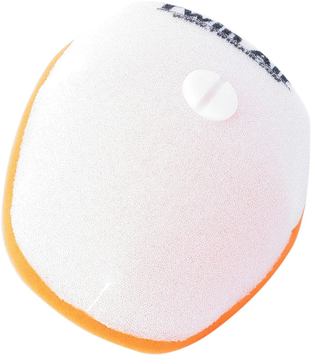 Twin Air Standard Air Filter