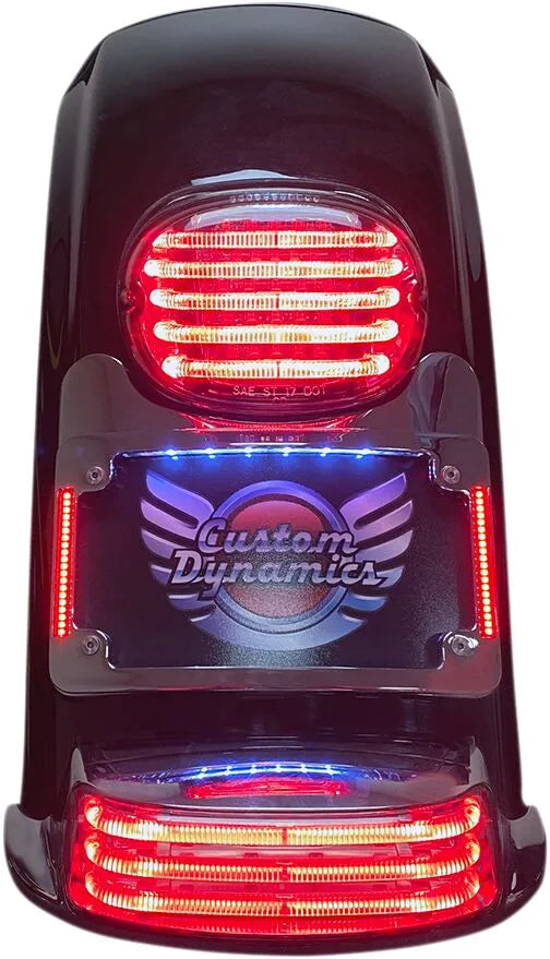 Custom Dynamics Turn Signal Eliminator Plate Frame