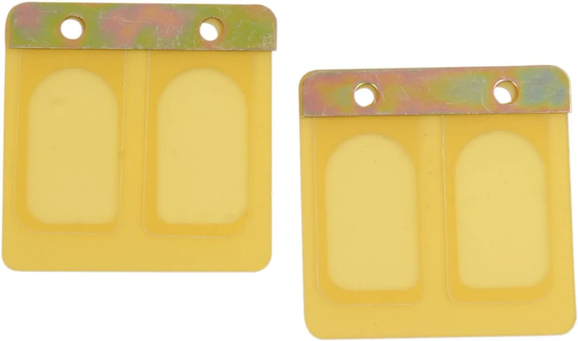 Boyesen Power Reed Set