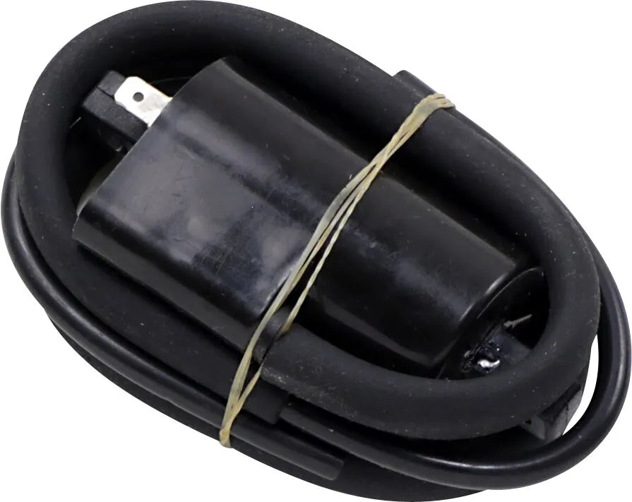 Rick's Motorsport Electric Coil - High-performance Ignition