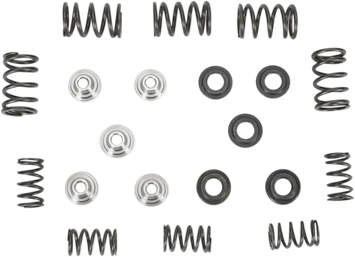 Kibblewhite Lightweight Racing Valve Spring Kit