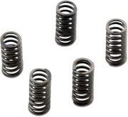 Ebc Csk Series Heavy Duty Clutch Spring Kit