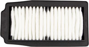 Hiflofiltro Replacement Oe Air Filter