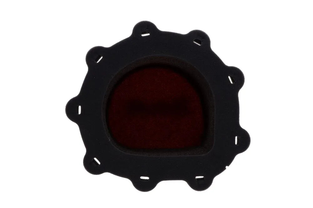 Twin Air Air Filter