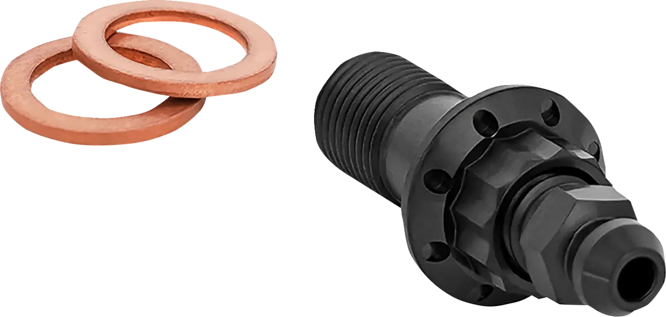 Arlen Ness Titanium 12-Point Banjo Bolt for M10 x 1,0