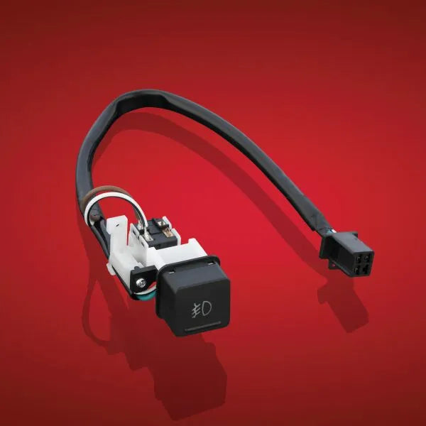 Show Chrome Fog Light Switch