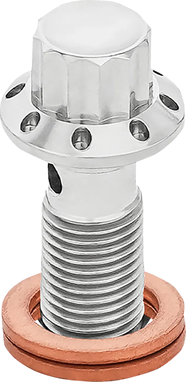 Arlen Ness Titanium 12-Point Banjo Bolt for 3/8-24