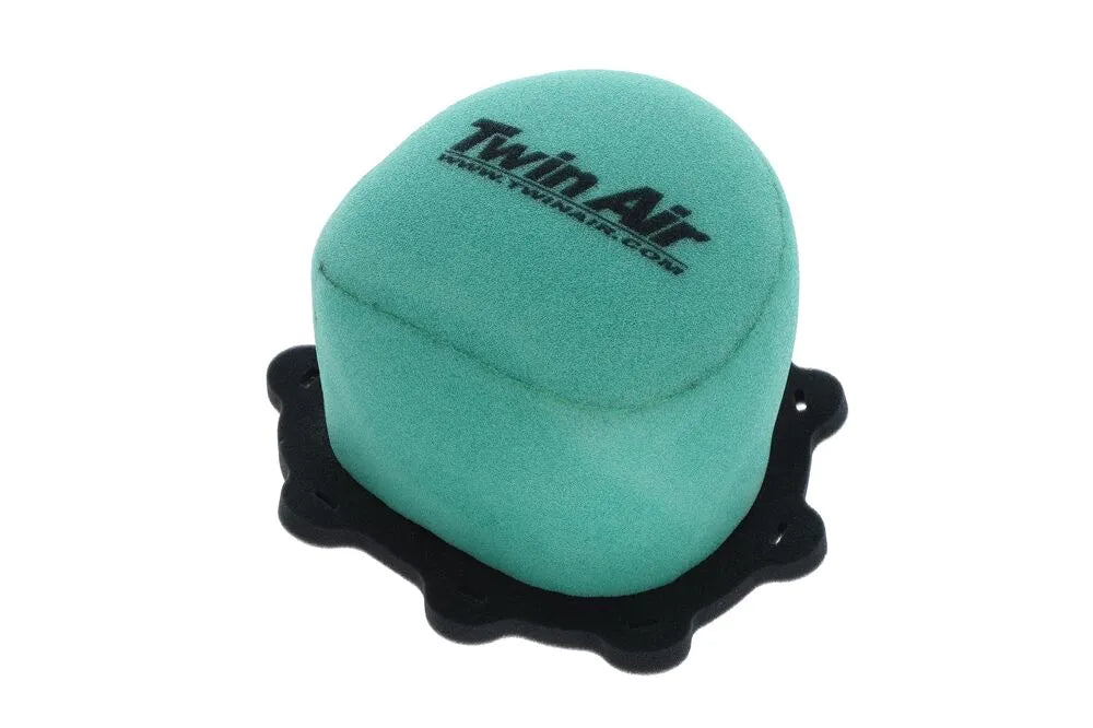 Twin Air Air Filter