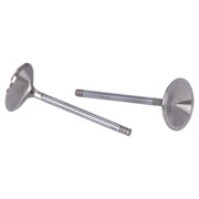Manley Race Master stainless valves intake - STD