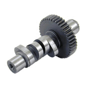 S&S 600 cam for Evo Big Twin