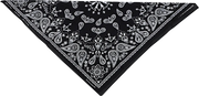 Zan Headgear Cotton Bandana 22" x 22" Paisley