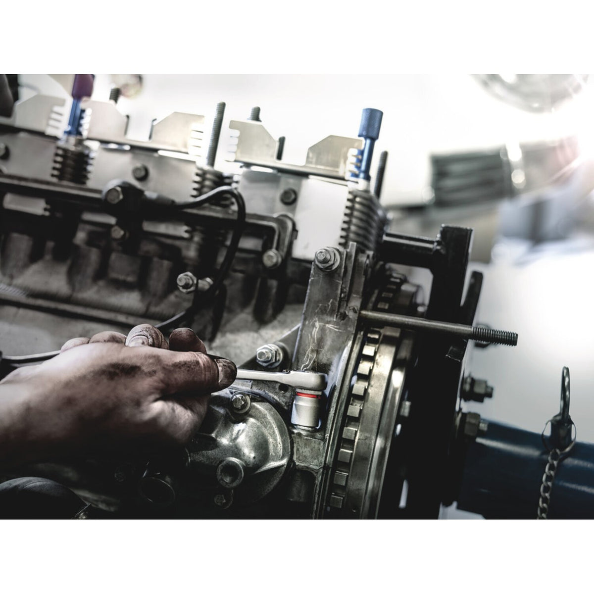 Wera Zyklop 1/4" socket - Metric 5.0