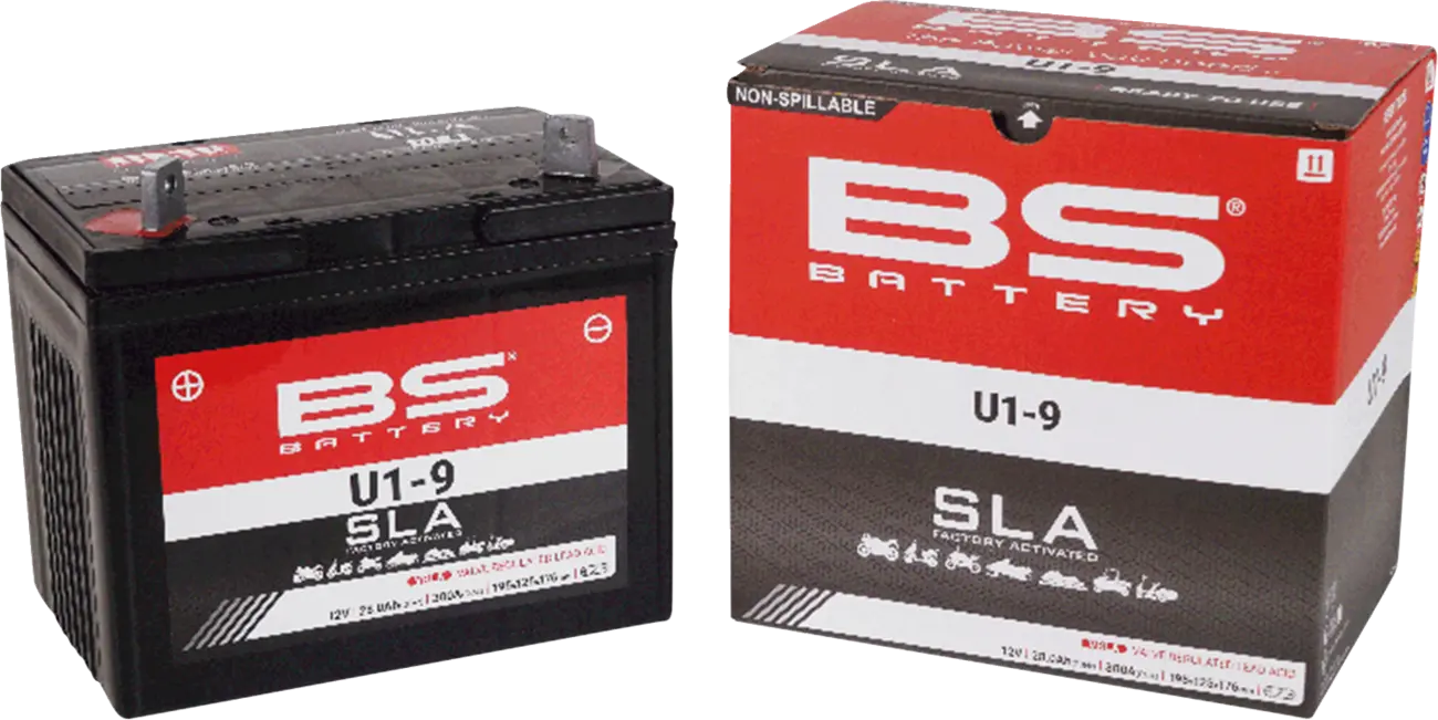 Bs Battery Agm 12v 28ah - Maintenance-free Battery