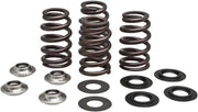 Kibblewhite Beehive Spring Kit .435" Lift