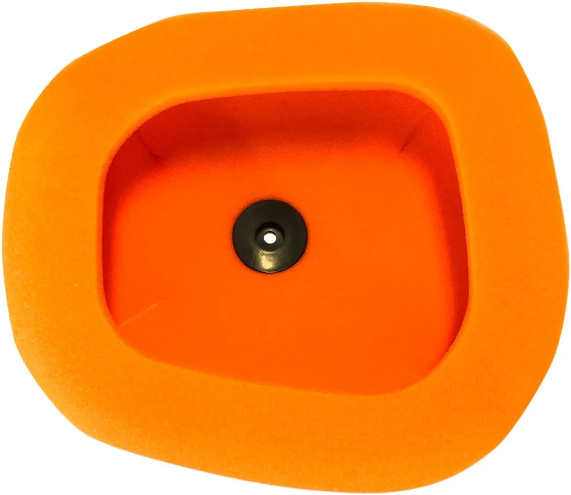 Twin Air Standard Air Filter