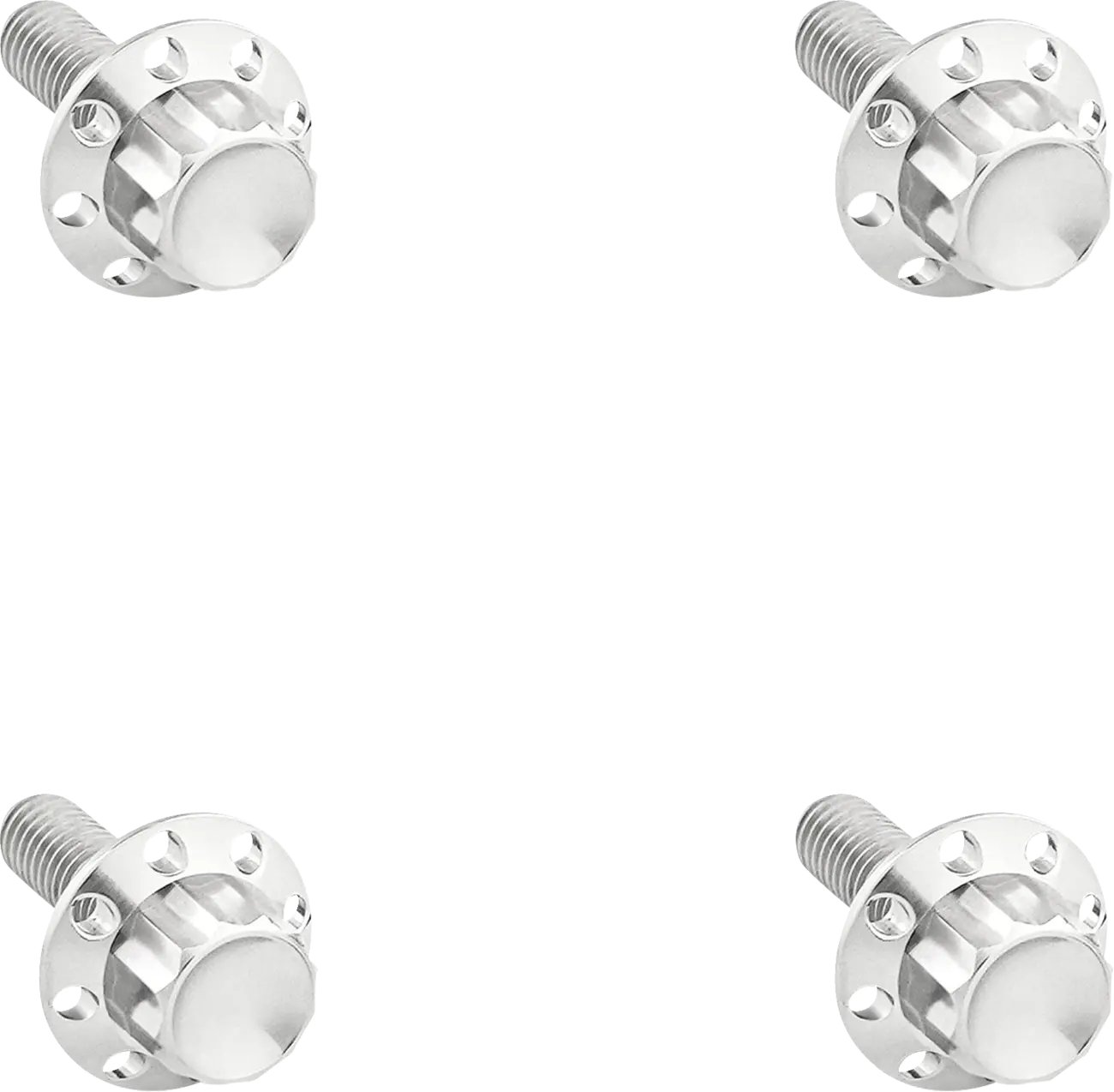 Arlen Ness 12-point Windshield Bolt Kit