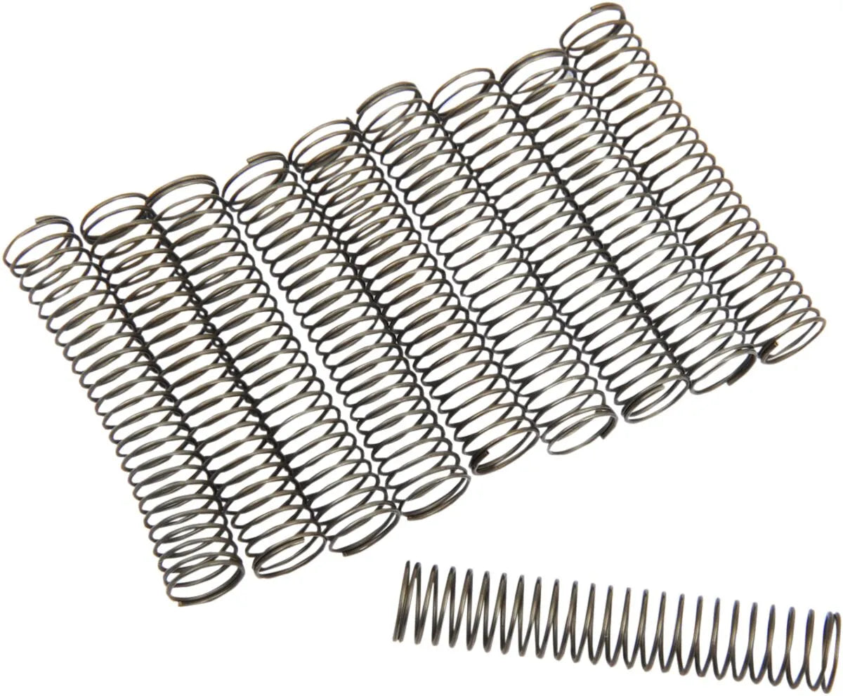 Eastern Motorcycle Parts Oil Pump Check Valve Springs