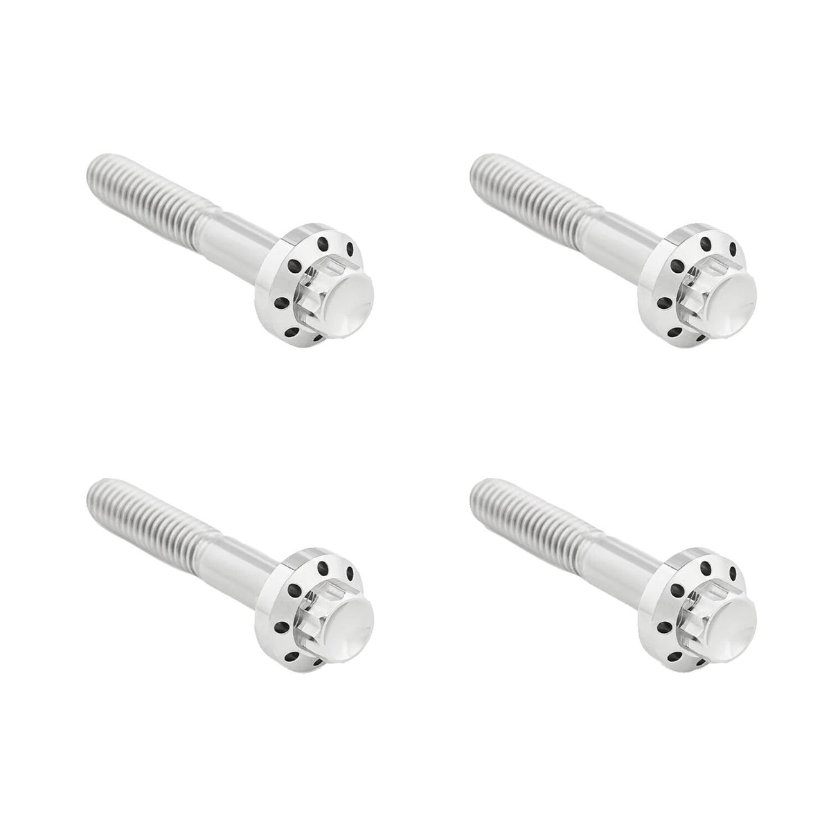 Arlen Ness titanium 12-point front fender bolt kit - Polish