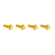 Arlen Ness titanium 12-point transm - top cover bolts - Gold