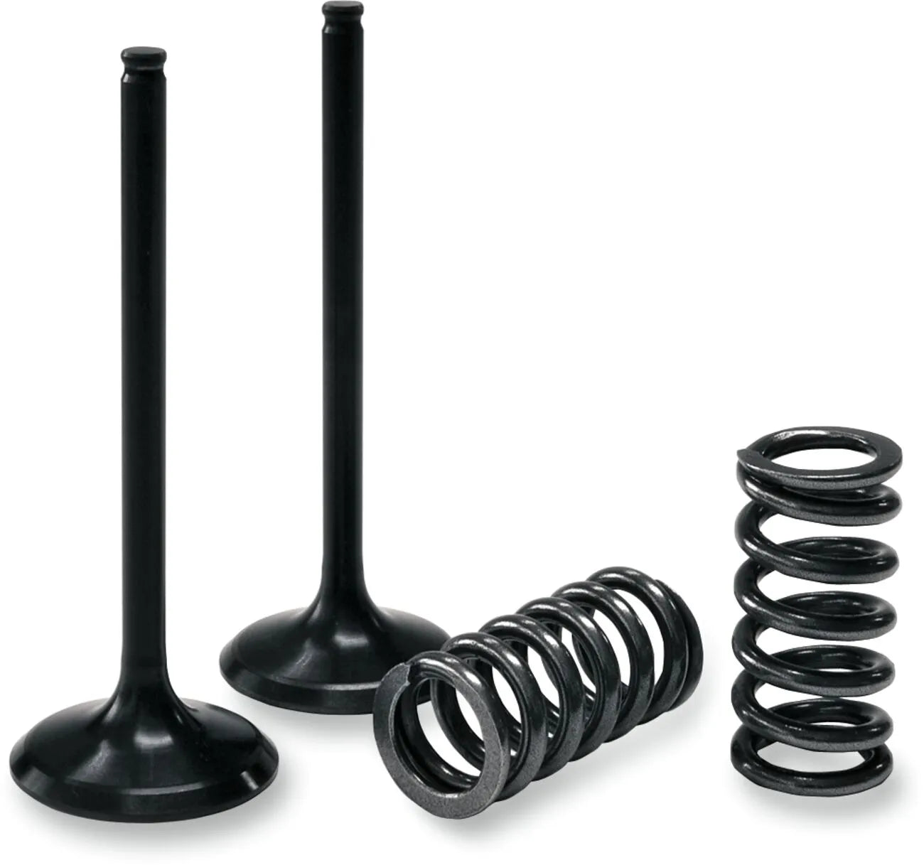 Prox Valve And Spring Kit Steel Nitrided Valves