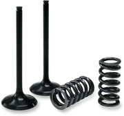 Prox Valve And Spring Kit - Steel, Nitrided Valves