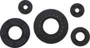 Vertex Engine Oil Seal Kit