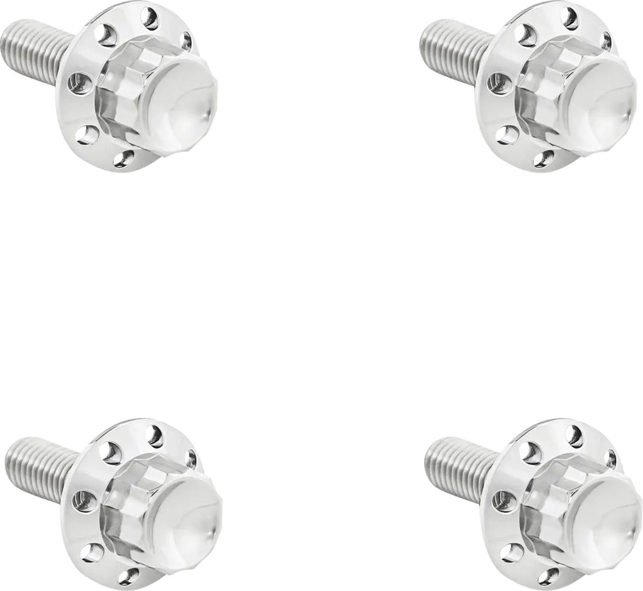 Arlen Ness Titanium 12-point Windshield Bolts