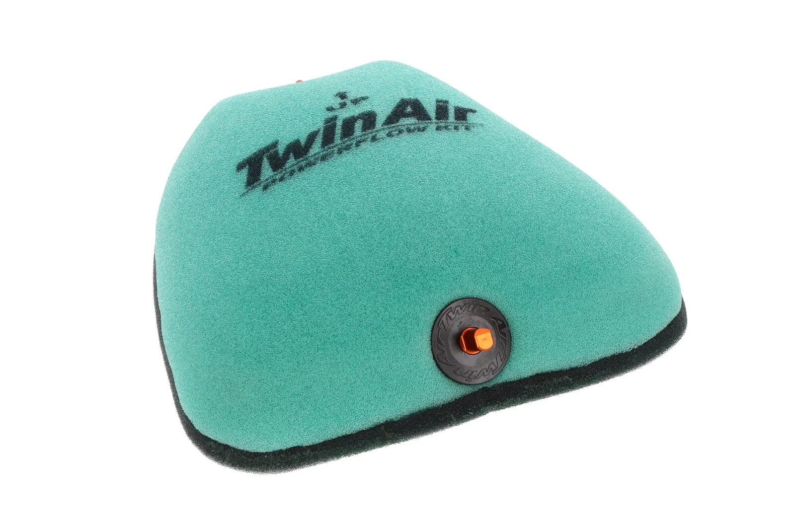 Twin Air Air Filter