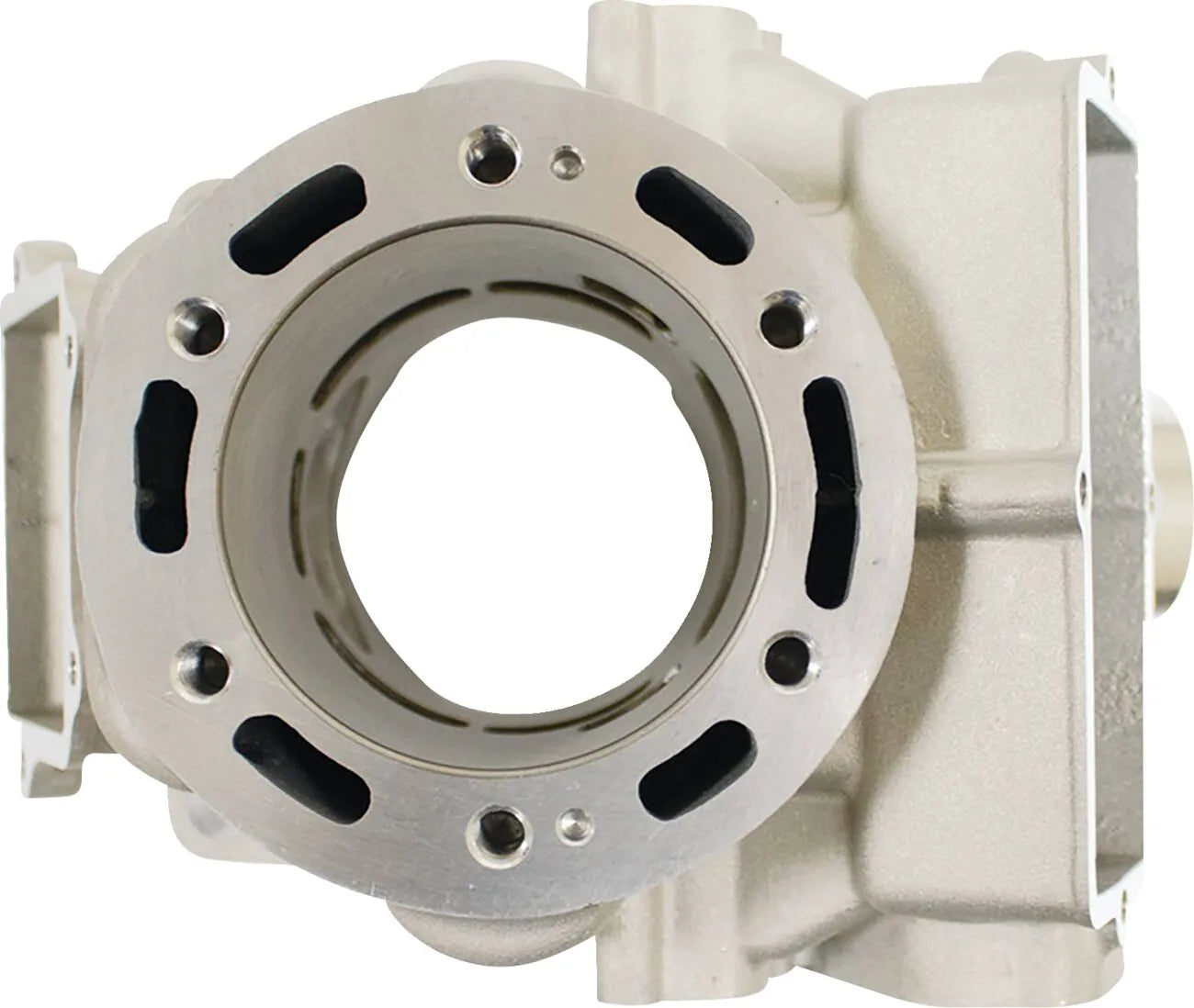 Cylinder Works 295cc Big Bore Cylinder Kit