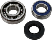 All Balls Chain Case Bearing and Seal Kit