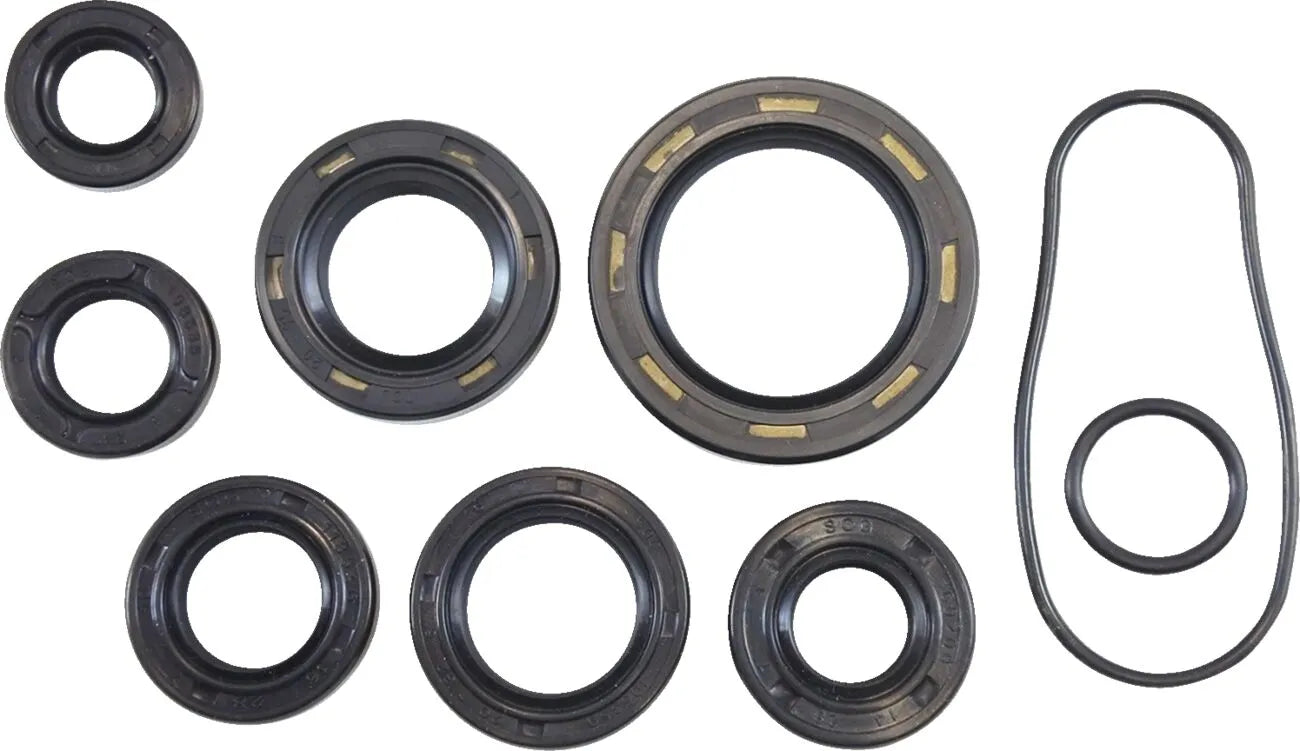 Vintco Engine Oil Seal Kit for Motorcycle Lower End