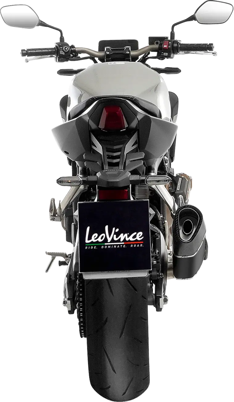 Leovince LV-14 R Exhaust System