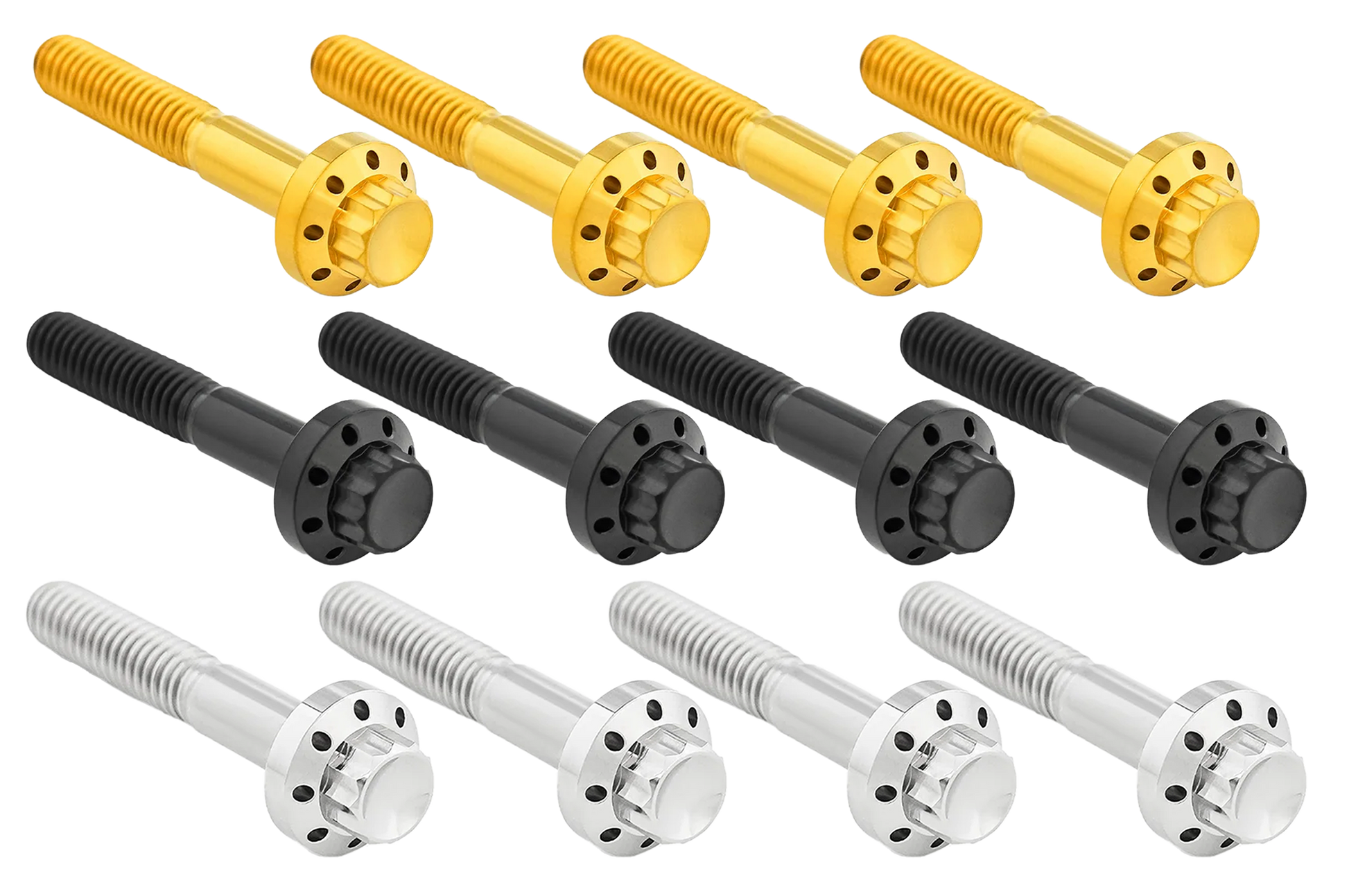 Arlen Ness Titanium 12-POINT Front Fender Bolts – Hardware